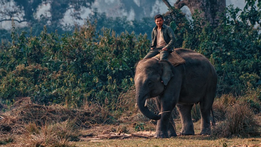 Nepal's Premier Safari Destination